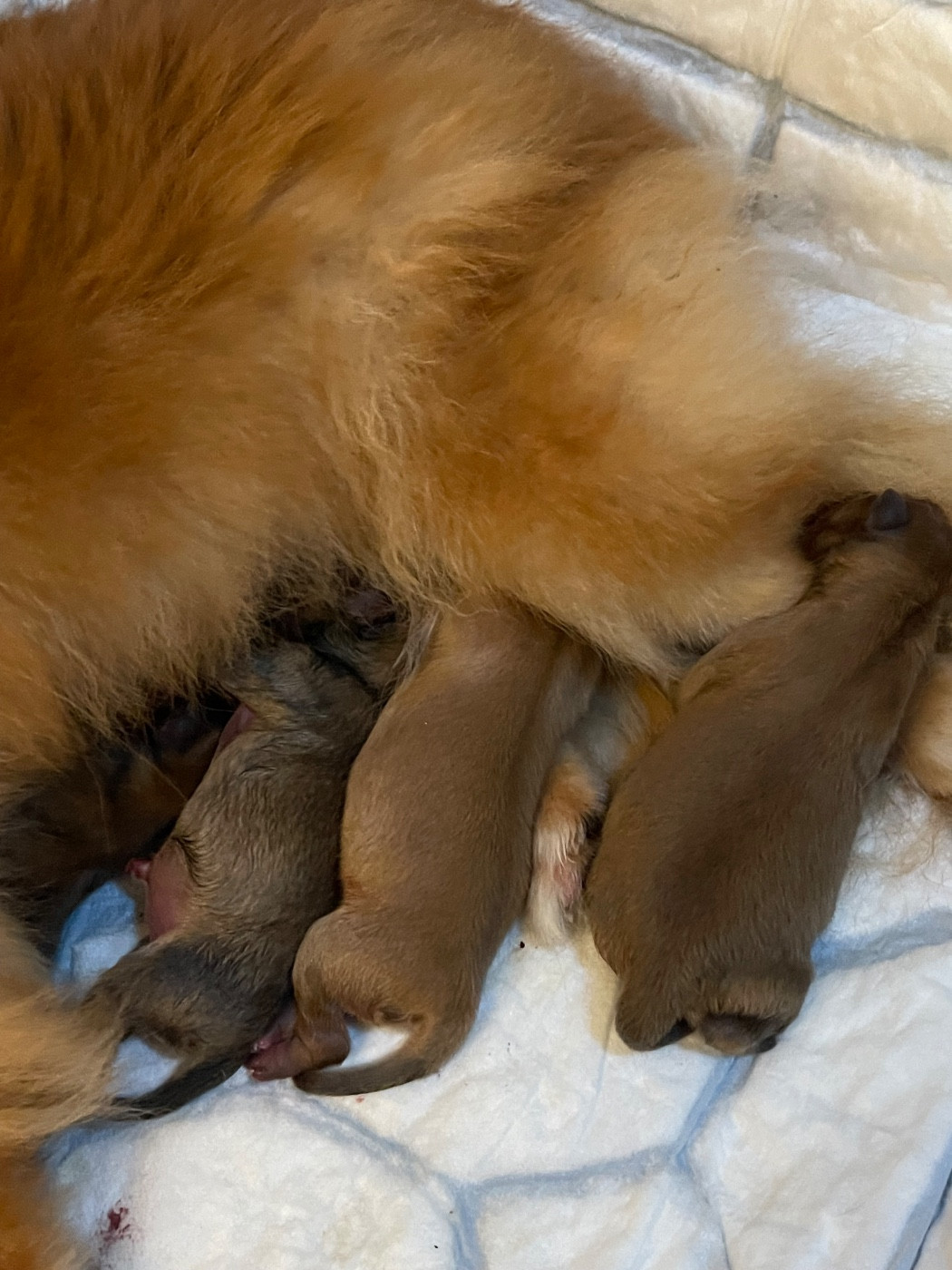 Bienvenue à la tribu